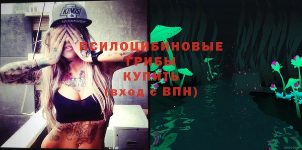 таблы Инта