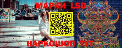 молекула духа Гатчина