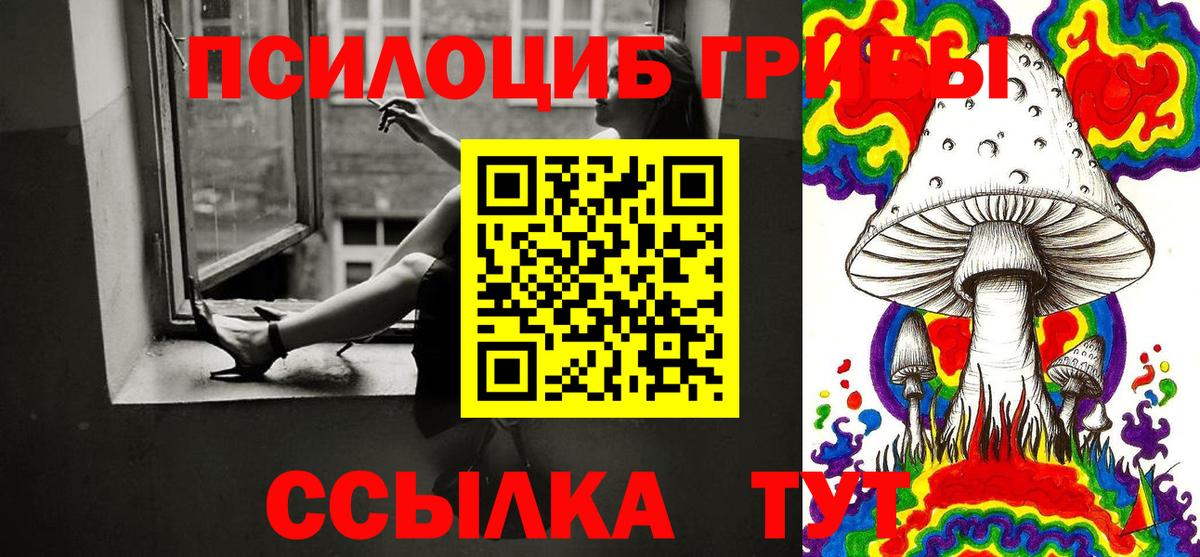 Галлюциногенные грибы Magic Shrooms  Псилоцибиновые грибы ЛСД  Вход с VPN  Камышлов 
