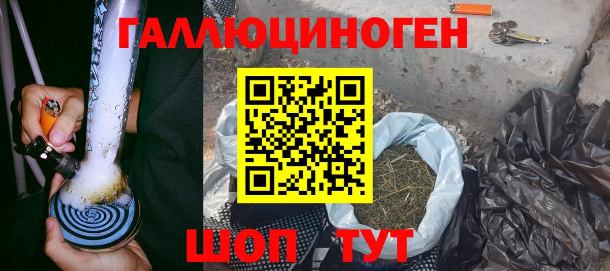 цены наркотик  Камышлов  Галлюциногенные грибы MAGIC MUSHROOMS 